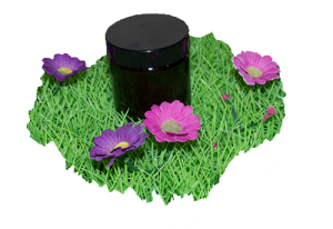 propolis